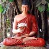 ဆူးရဲ သစ်