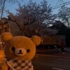 永远短暂又虚假
