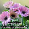 အငယ် လေး
