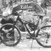 Bayoe Pratama