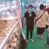 ความ ออ่นแอ