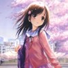 櫻花之萌貓