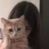 miico chan win yi