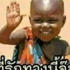 กุ้ง ไหญ่