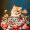 Akhy Akhir Zaman