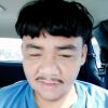 เสือ เสือ