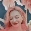 redvelvet