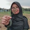 ElfiraWahdalia
