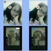 Sintia