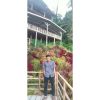 Sahdan Lesmana Lubis