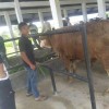 Aguez Blanteksapi