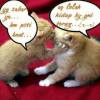 Widie Yanti