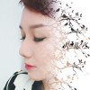 K人音乐🎶