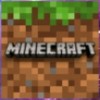 minecraft player
