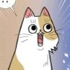 Zinu
