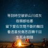 小青菜