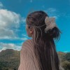 ladiinara