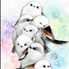 🕊白鴿🕊