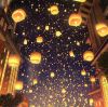 Xin Chi Law
