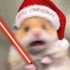 薄荷