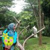 Ambu Erin