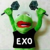 wanieraexo