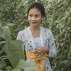 Windi Dyt