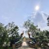 Ton-aor Artchara Phattharasirikul