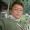 wilis