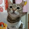 kalolo liu