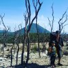 Agus Susanto
