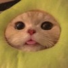 dgmrlouie