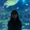 xintian toh