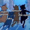 dnr