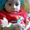 Faiz