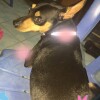 MusicFan900100061