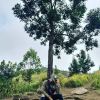 Angga