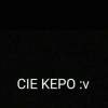 Alex Behappy