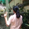 Ninis
