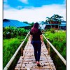 Ceasy Arianti