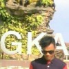 max daris