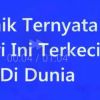 Marihot Nainggolan