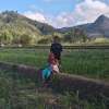 Hendri Cah