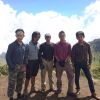 ariweed