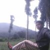 Asep Al Tohir