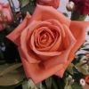 Rose Patnanlayavee