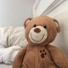 BeBear🐻