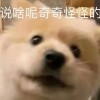 快乐星球