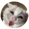 ปุริมปรัชญ์ รักประชา