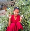 ပန်းလေပြေ